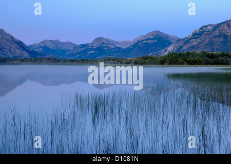 Vimy Ridge riflessa in Maskinonge stagni all'alba, Parco Nazionale dei laghi di Waterton, Alberta, Canada Foto Stock