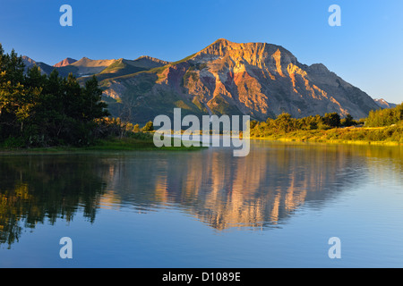 Vimy Ridge riflessa in Maskinonge stagni all'alba, Parco Nazionale dei laghi di Waterton, Alberta, Canada Foto Stock