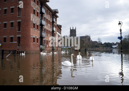 Inondati riverside percorso sul fiume Severn a Worcester, England, Regno Unito Foto Stock