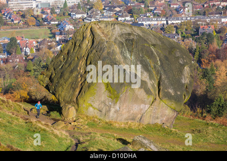 Un runner passa una grande rupe di mucca e vitello su Ilkley Moor, Yorkshire, Regno Unito. Foto Stock