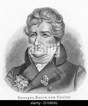 Il barone Georges Cuvier disegno vintage Foto Stock