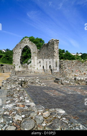 St Dogmaels Abbey vista della navata St Dogmaeils Pembrokeshire Wales UK Foto Stock