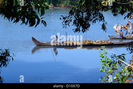 Il Kerala Backwaters scenario in barca di legno nativo canoe imbarcazioni gusci di noce di cocco da villaggi remoti Foto Stock