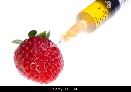 La scienza del transgene concetto alimentare siringa di frutta con fragola isolato Foto Stock