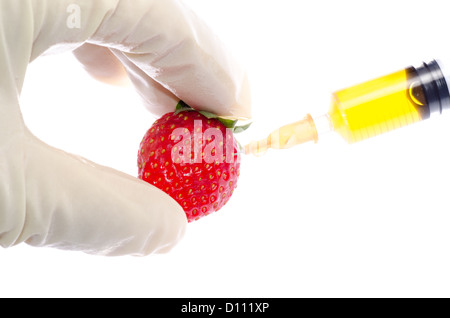 La scienza del transgene concetto alimentare scienziato iniezione isolato di fragola Foto Stock