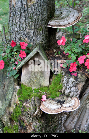Birdhouse annidato nel ceppo di albero circondato da Moss, rosa impatiens e grande albero crescite di funghi. Clitherall Minnesota MN USA Foto Stock