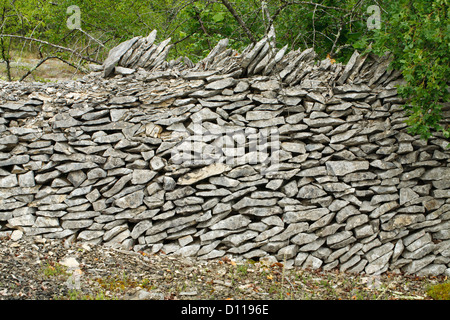 Decadendo muro di pietra fatta di calcare, sulla Causse de Gramat, lotto regione, Francia. Giugno. Foto Stock