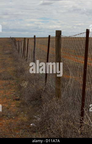 Recinzione cane, Australia Foto Stock