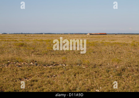 Habitat - asciutto sassoso steppa della Réserve Naturelle Coussouls de Crau. Peau de Meau fienile. Bouches-du-Rhône, Provenza, Francia. Foto Stock