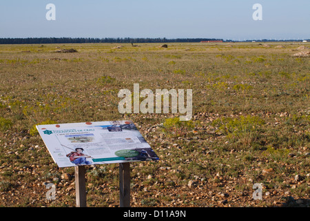 Habitat - asciutto sassoso steppa della Réserve Naturelle Coussouls de Crau. Bouches-du-Rhône, Provenza, Francia. Giugno. Foto Stock