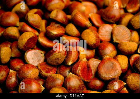 CASTAGNE Foto Stock