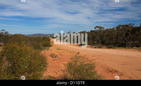Lungo rettilineo outback australiano su strada attraverso boschi di bassa al lontano orizzonte vicino Cobar Aeroporto, NSW Australia Foto Stock