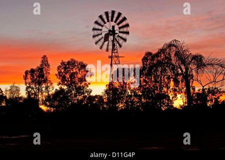 Il mulino a vento di sunrise contro colorato di rosso e di giallo striato cielo nell'outback australiano, sud-occidentale di Queensland, Australia Foto Stock