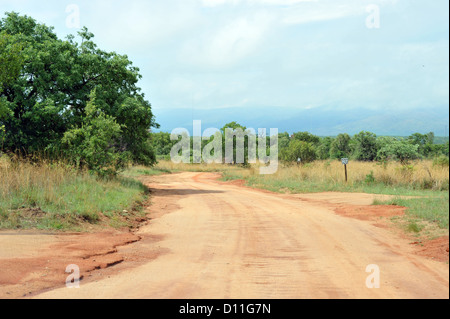 Una strada di sabbia in un sudafricano Game Reserve. Foto Stock