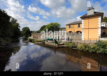 Fiume Tavy sbarramenti, Tavistock città della contea di Devon, Inghilterra, Regno Unito Foto Stock