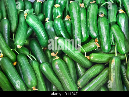 Organici di cetrioli freschi Foto Stock