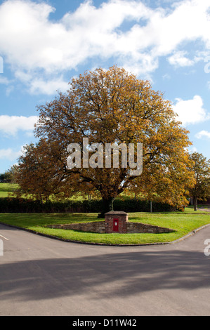 Cavallo castagno sul villaggio verde in autunno, Ilmington, Warwickshire, Regno Unito Foto Stock