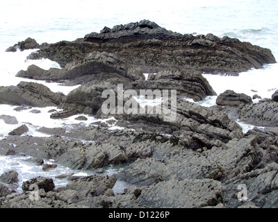 Una vista delle rocce a Hartland Quay Devon UK Foto Stock