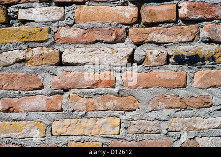 In prossimità di una parete di mattoni Foto Stock
