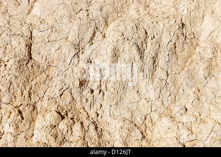 Argilla naturale formazione dettaglio. Foto Stock