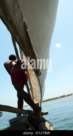 Un membro dell'equipaggio a bordo di un dhow, Lamu, Kenya, Africa orientale. 11/2/2009. Fotografia: Stuart Boulton/Alamy Foto Stock