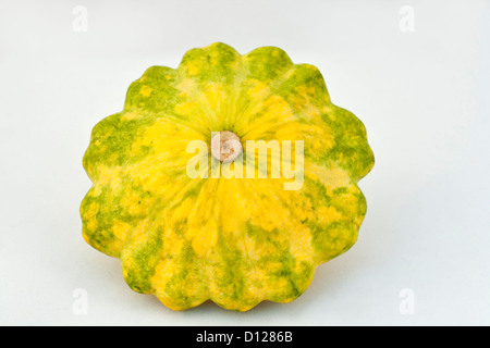 Giallo verde pattypan squash su sfondo bianco Foto Stock