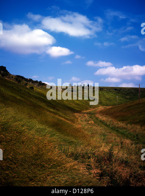 Asciugare gesso Valley vicino a Thixendale Yorkshire Wolds East Yorkshire Inghilterra Foto Stock