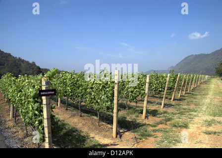 Granmonte Station Wagon Asoke Valley Khao Yai Thailandia Foto Stock