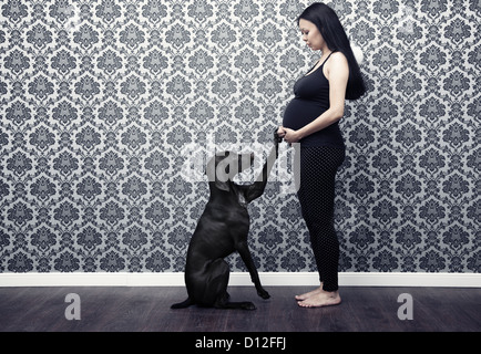 Donna incinta giocando con il suo cane Foto Stock