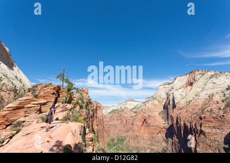 Giovani trekking lungo un angelo della pista di atterraggio nel Parco Nazionale di Zion Foto Stock