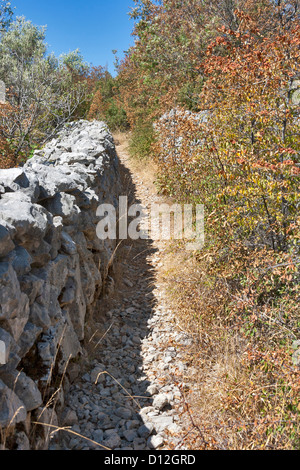 Tradizionale vecchi recinti di pietra costruito in tutta la Croazia. Foto Stock