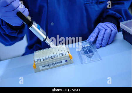 Scienziato usando una pipetta multipla per amministrare i campioni genetici in un multi ben vassoio campioni in un laboratorio di scienze Foto Stock