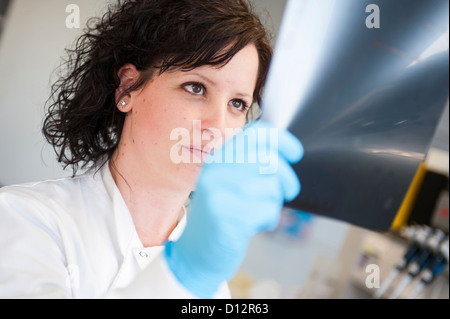 Donna scienziato detiene un DNA autoradiogramma per esame nel laboratorio di scienze Foto Stock