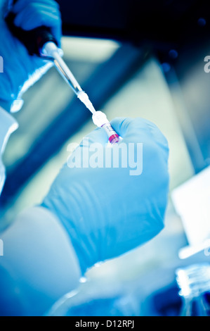 Tecnico di scienziato o di ricercatori le mani il pipettaggio di campioni biologici in un laboratorio di scienze Foto Stock