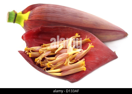 Prodotti commestibili Banana Flower consumati come verdura deliziosa Foto Stock