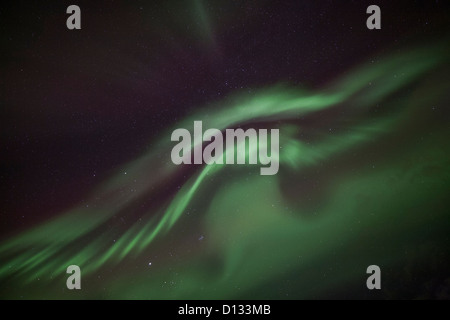 Aurora Boreale Northern Lights nel cielo notturno su Islanda Foto Stock