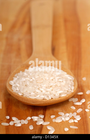 Cucchiaio di italiano di riso Carnaroli utilizzato per rendere il risotto Foto Stock
