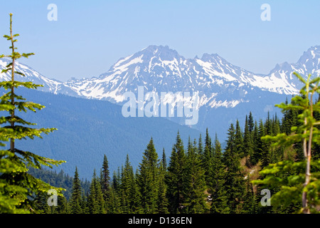 Vista dei picchi di montagna da Elk Thurston escursione in Chiliwack BC,Canada Foto Stock