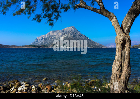 Isola di Telendos visto da Kalymos, Grecia, incorniciato da tree Foto Stock