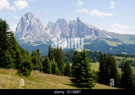 L'Italia, vista dal Mont Seuc verso il Sassolungo e Sassopiatto montagna in Alto Adige Foto Stock