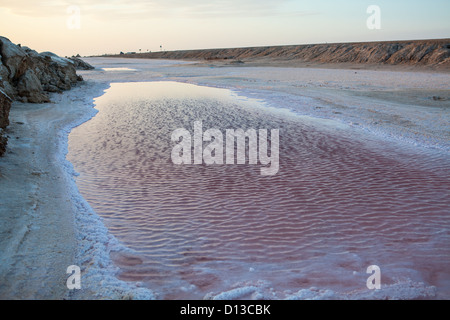 Visualizzazione con orizzonte di riferimento di colore rosa Salt Lake il Chott el Jerid in Tunisia centrale, Africa. Foto Stock