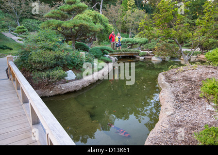 Il splendidamente rinnovato e giardini Giapponesi presso la Biblioteca di Huntington e Giardini Botanici. Foto Stock