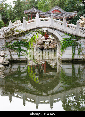 Ponte di arco con la riflessione in giardino cinese. Foto Stock