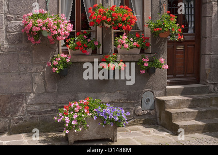 Estate vasi per piante e appendere cesti pieni di fiori per la maggior parte dei gerani davanti alla porta e fasi di casa. Foto Stock