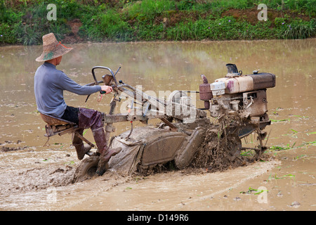 L'agricoltore cinese lavora con un aratro motorizzato in un campo di riso nel sud-est della Cina Foto Stock