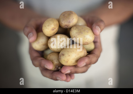 Close up di mani di patate Foto Stock