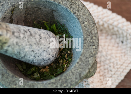 Le erbe in massa nel pestello e mortaio Foto Stock