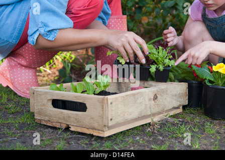 Madre e figlia insieme di giardinaggio Foto Stock