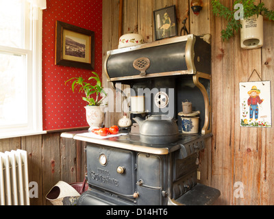 "L'ideale sole l' annata in ghisa decorazioni di stufa in Home interno, STATI UNITI D'AMERICA Foto Stock