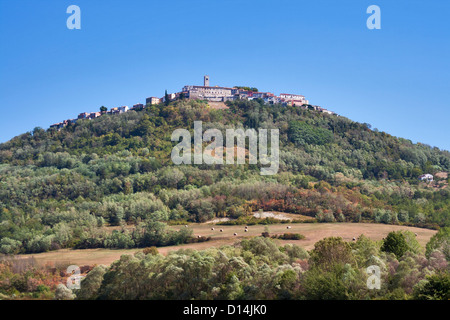 Città medievale di Montona sulla cima di una collina sulla penisola di Istria in Croazia. Foto Stock